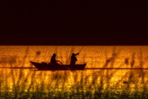 fishing boat, fisherman, nature-3705910.jpg